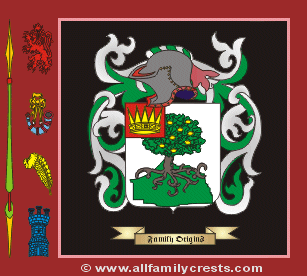 Crow Coat of Arms, Family Crest - Click here to view