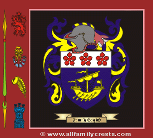 David Coat of Arms, Family Crest - Click here to view