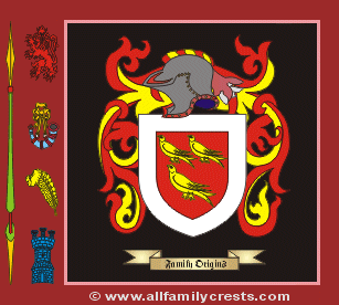 MacGill Coat of Arms, Family Crest - Click here to view