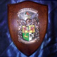 Kater Name Meaning, Family History, Family Crest & Coats of Arms