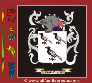 Johns Coat of Arms, Family Crest - Click here to view