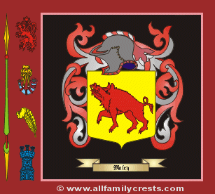 Maley Coat of Arms, Family Crest - Click here to view
