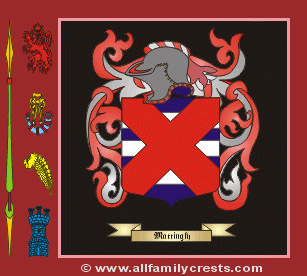 Mattingley Coat of Arms, Family Crest - Click here to view
