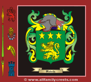 Mulcahie Coat of Arms, Family Crest - Click here to view