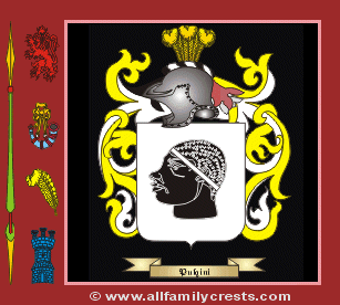 Puci Coat of Arms, Family Crest - Click here to view