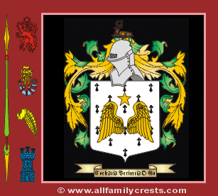 Rainey Coat of Arms, Family Crest - Click here to view