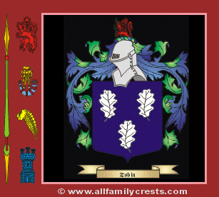 O'Tobin Coat of Arms, Family Crest - Click here to view