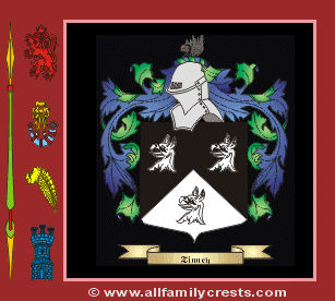 Tinny Coat of Arms, Family Crest - Click here to view