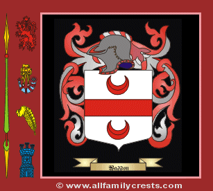 Wasin Coat of Arms, Family Crest - Click here to view