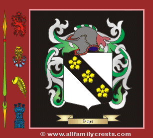 Boyce Coat of Arms, Family Crest - Click here to view