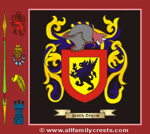 Boys Coat of Arms, Family Crest - Click here to view