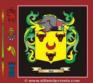 Bull Coat of Arms, Family Crest - Click here to view