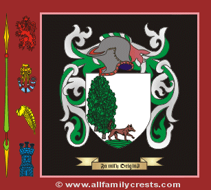 O'Callaghan Coat of Arms, Family Crest - Click here to view