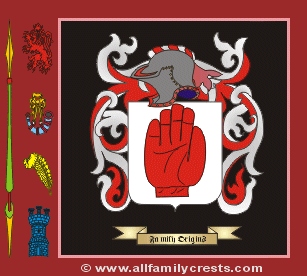 Davin Coat of Arms, Family Crest - Click here to view
