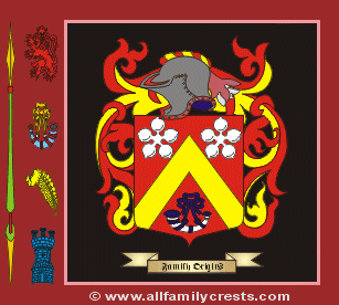 Duncan Coat of Arms, Family Crest - Click here to view