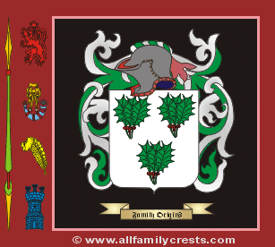 Ervin Coat of Arms, Family Crest - Click here to view