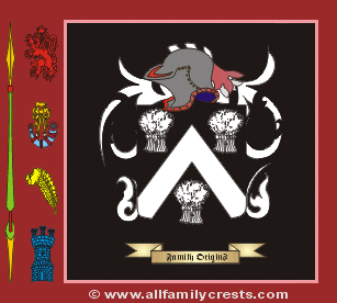 Falvey Coat of Arms, Family Crest - Click here to view