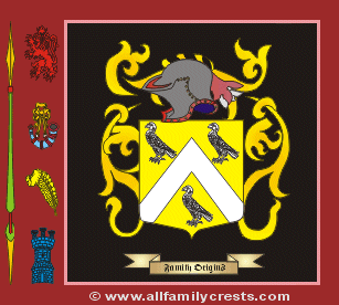 Finane Coat of Arms, Family Crest - Click here to view