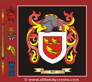 Gill Coat of Arms, Family Crest - Click here to view