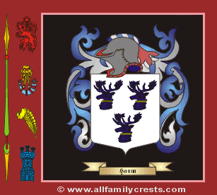 Hanna Coat of Arms, Family Crest - Click here to view