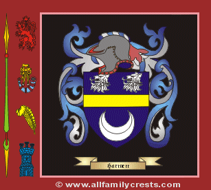 Hartnett Coat of Arms, Family Crest - Click here to view