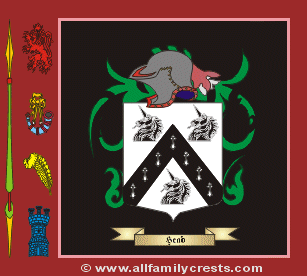 Head Coat of Arms, Family Crest - Click here to view