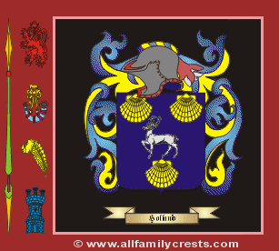 Holland family crest and meaning of the coat arms for the surname Holland, Holland name origin