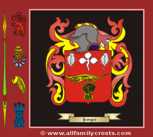 Horgan Coat of Arms, Family Crest - Click here to view