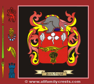 O'Hanrahan Coat of Arms, Family Crest - Click here to view