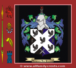 Johnson Coat of Arms, Family Crest - Click here to view