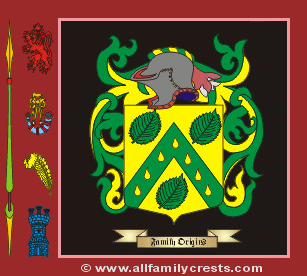 Joy Coat of Arms, Family Crest - Click here to view