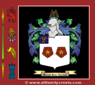 Knight Coat of Arms, Family Crest - Click here to view