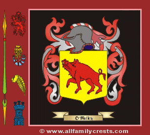 O'Malley Coat of Arms, Family Crest - Click here to view