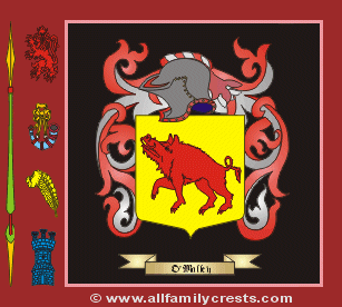 O'Mallie Coat of Arms, Family Crest - Click here to view