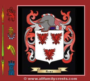 Nunan Coat of Arms, Family Crest - Click here to view