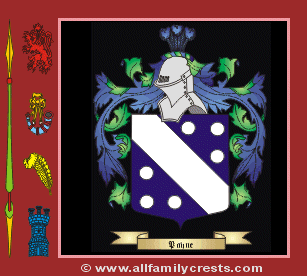 Pain-ireland Coat of Arms, Family Crest - Click here to view
