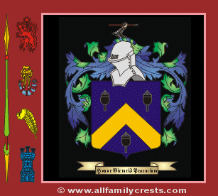 Palmer Coat of Arms, Family Crest - Click here to view