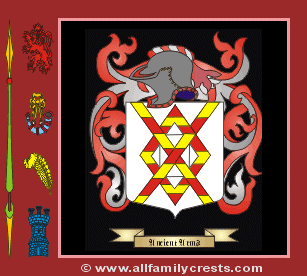 Rinns Coat of Arms, Family Crest - Click here to view