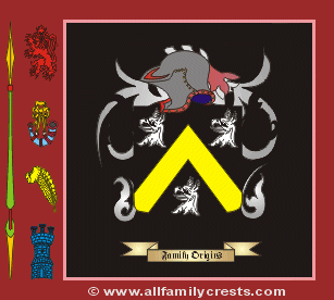 Skin Coat of Arms, Family Crest - Click here to view