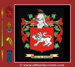 O'Toohil Coat of Arms, Family Crest - Click here to view