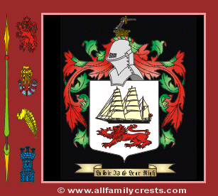 Twomey Coat of Arms, Family Crest - Click here to view