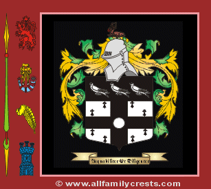Wild Coat of Arms, Family Crest - Click here to view
