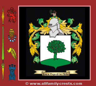 Wood Coat of Arms, Family Crest - Click here to view