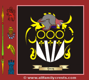 Young Coat of Arms, Family Crest - Click here to view